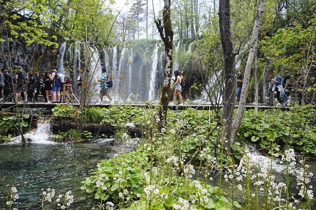 Paths_Plitvice_Croatia