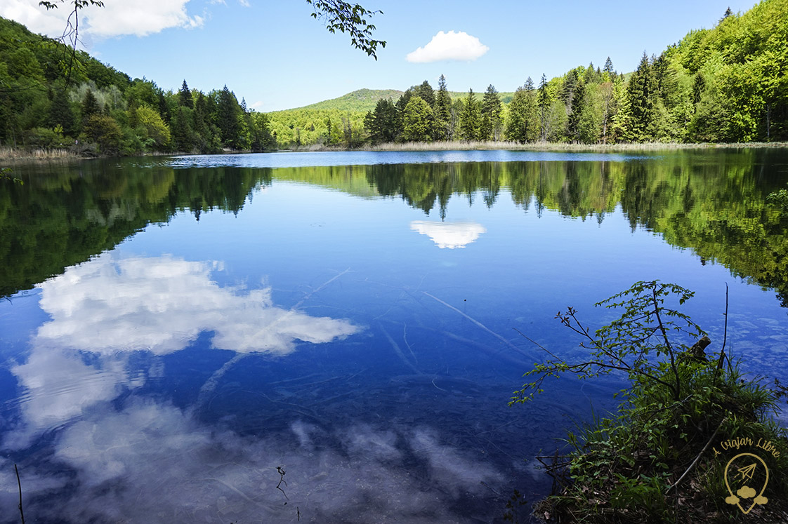 Lake_reflection_Plitvice_Croatia Lake_reflection_Plitvice_Croatia