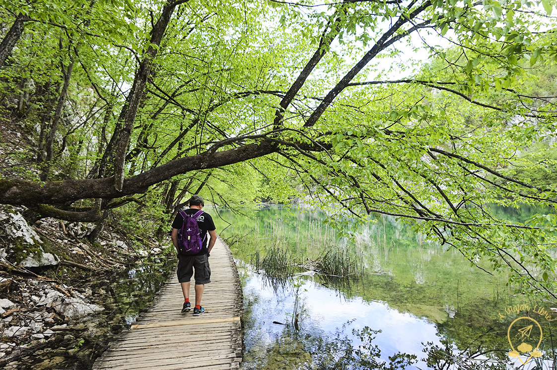 Path_by_lake_Plitvice_Croatia
