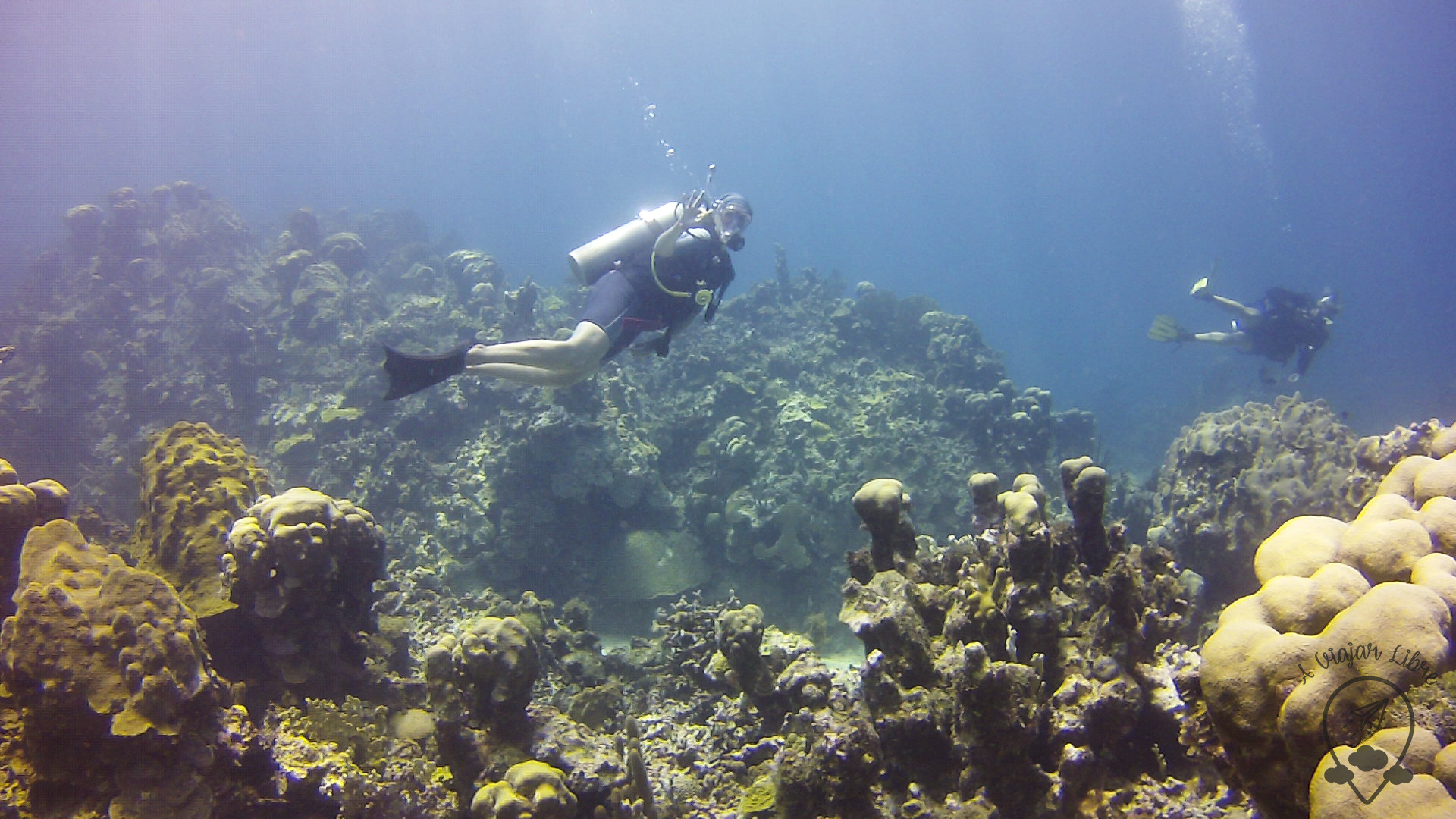 Diving_in_MontegoBay_Jamaica