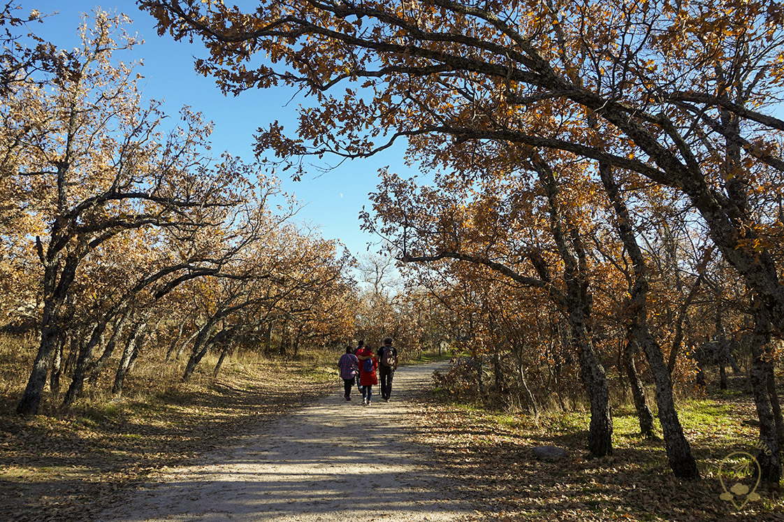 Caminio_a_CasadelSordo_otoño_Escorial Caminio_a_CasadelSordo_otoño_Escorial