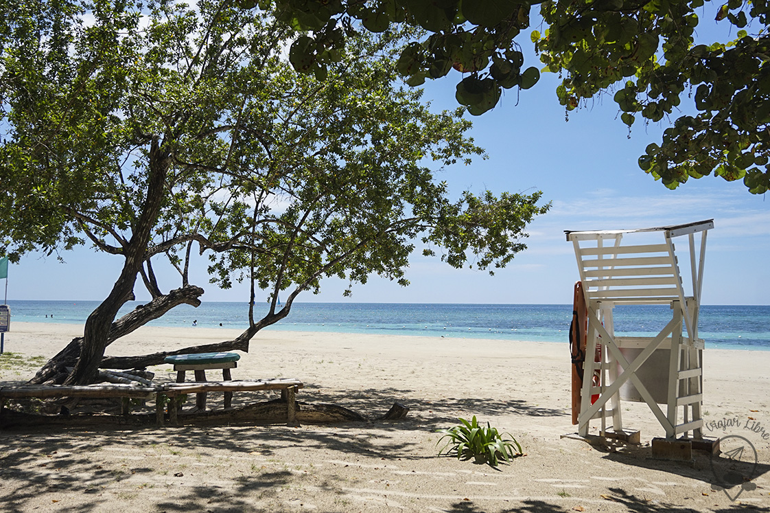 bodyguard_tower_Jamaica