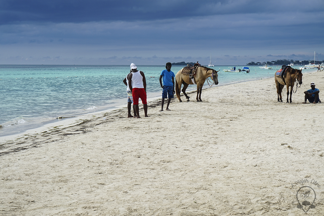 horse_riding_Negril_Jamaica horse_riding_Negril_Jamaica