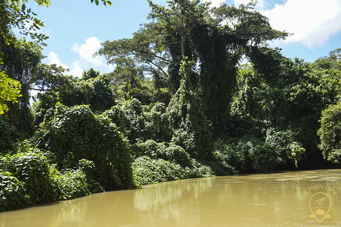 Landscape_rafting_Jamaica Landscape_rafting_Jamaica