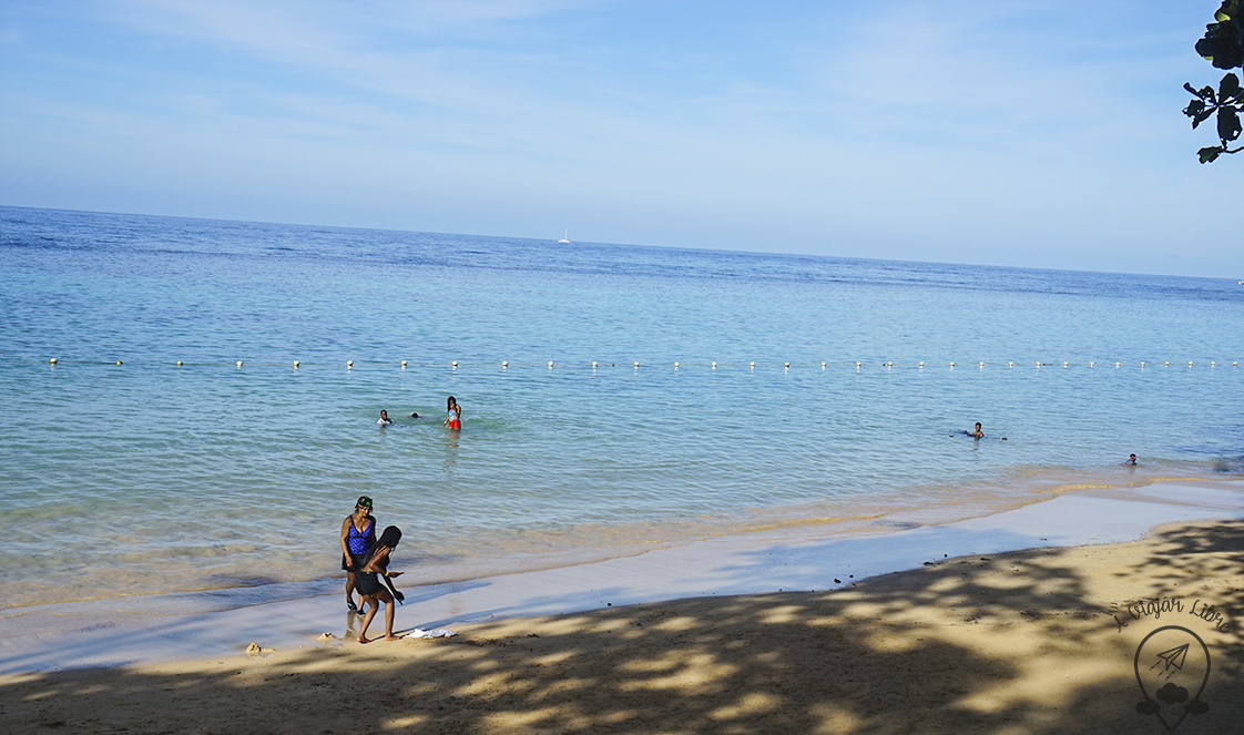 Beach_in_Dunns_ falls_Jamaica