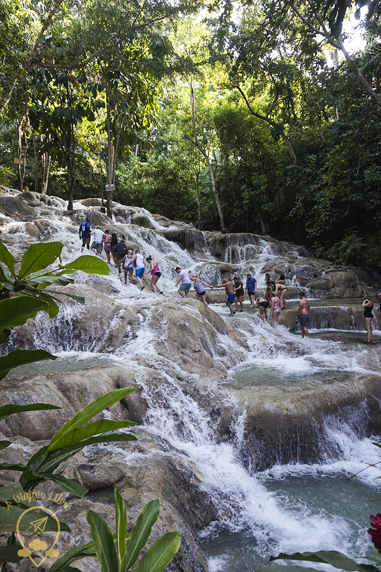 Climbingup_falls_Dunns_River_Jamaica