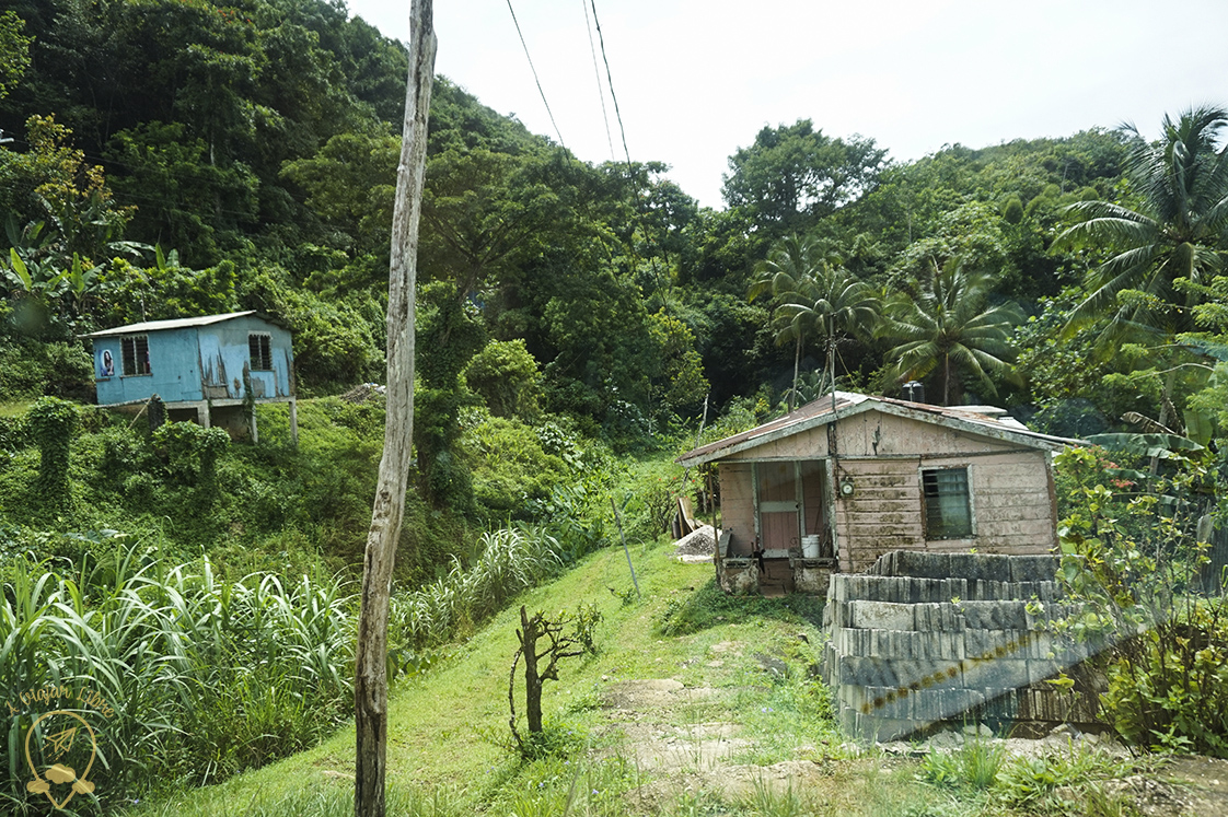 Countryside_Jamaica Countryside_Jamaica
