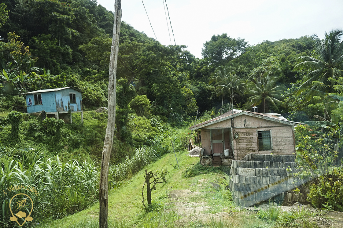 ruta_corta3