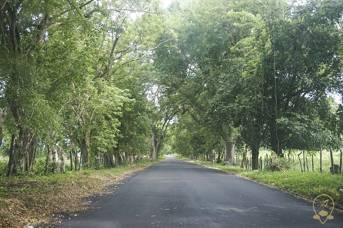 carretera cataratas Ys