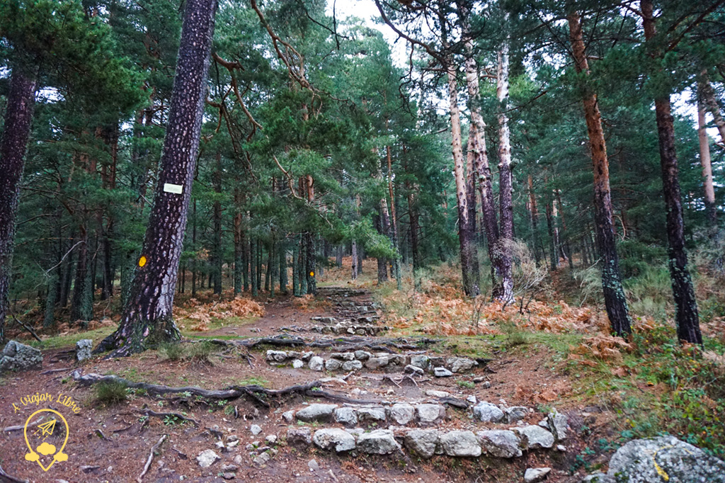 Sendero 2 Sendero