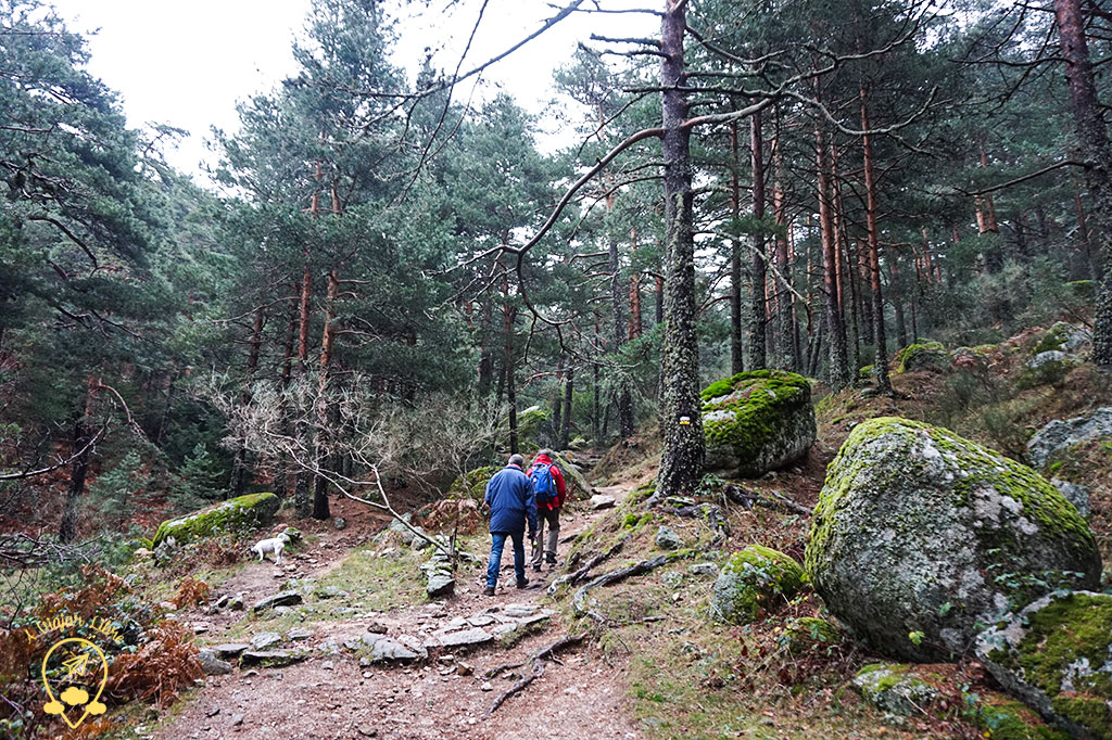 Sendero 6 Sendero