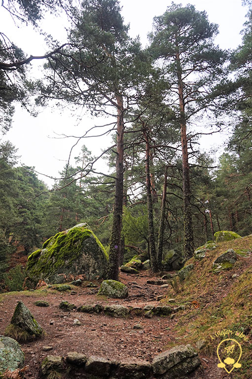 sendero 7 sendero